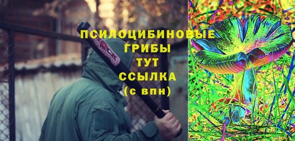 MDMA Новозыбков