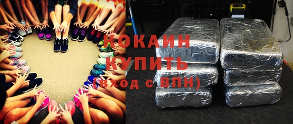 первитин Новодвинск