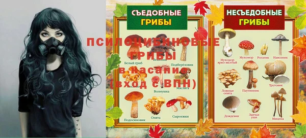 MDMA Новозыбков
