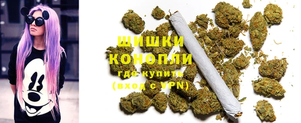 мдпв Новокубанск
