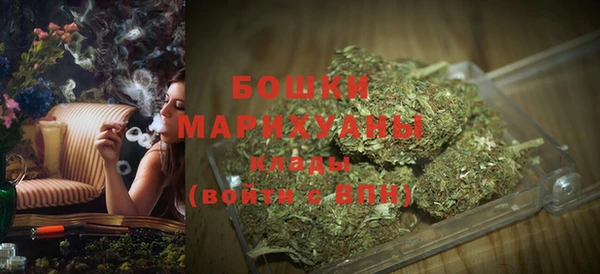 MDMA Новозыбков