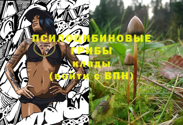 мдпв Новокубанск