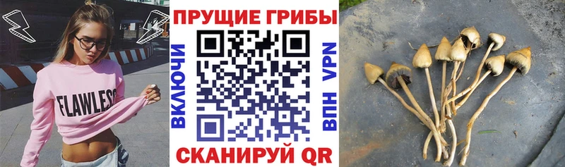 Псилоцибиновые грибы MAGIC MUSHROOMS  Купить где  Вяземский 